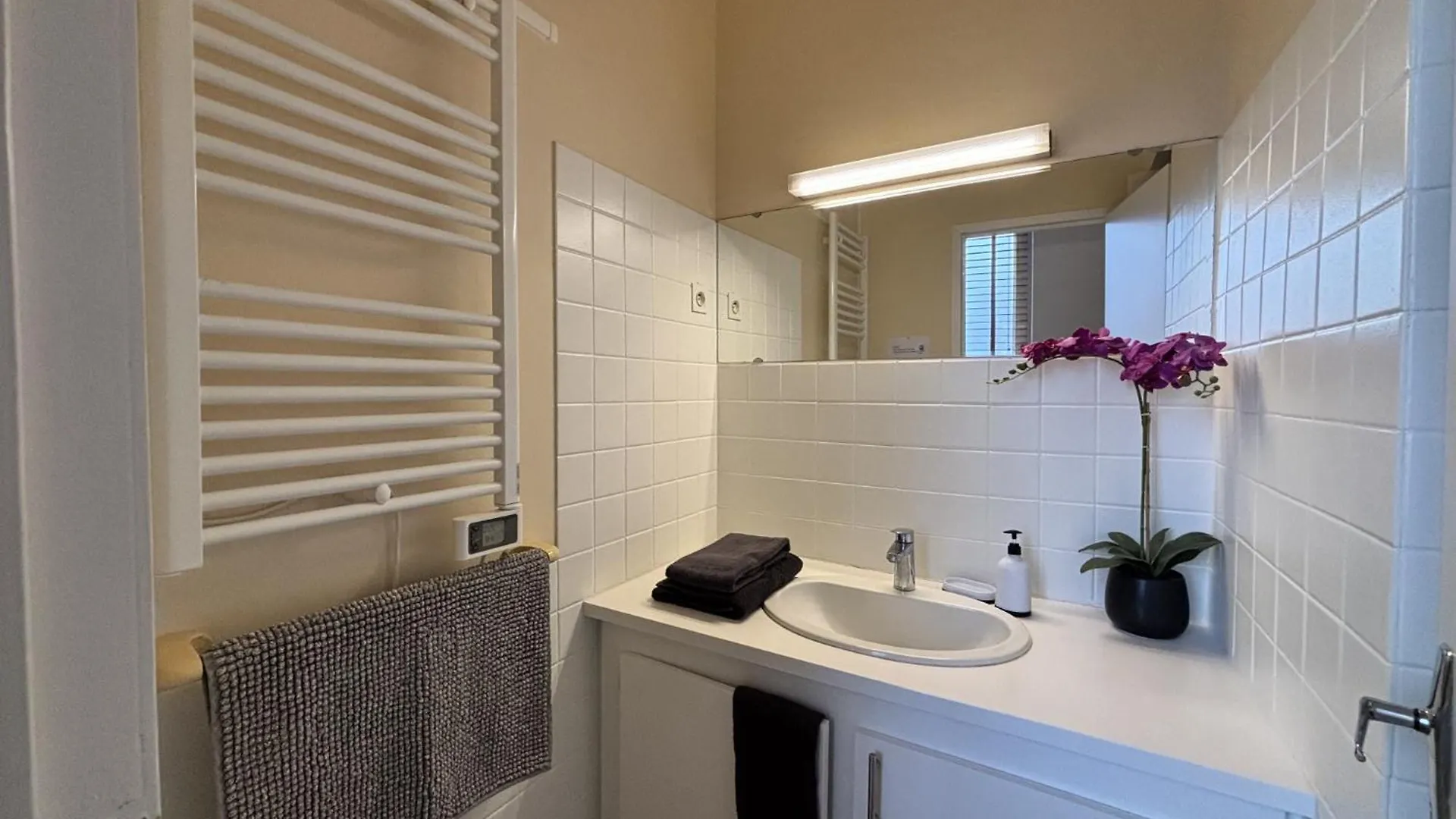Le Puy De Dome - 1 Chambre - Clim Châtel-Guyon