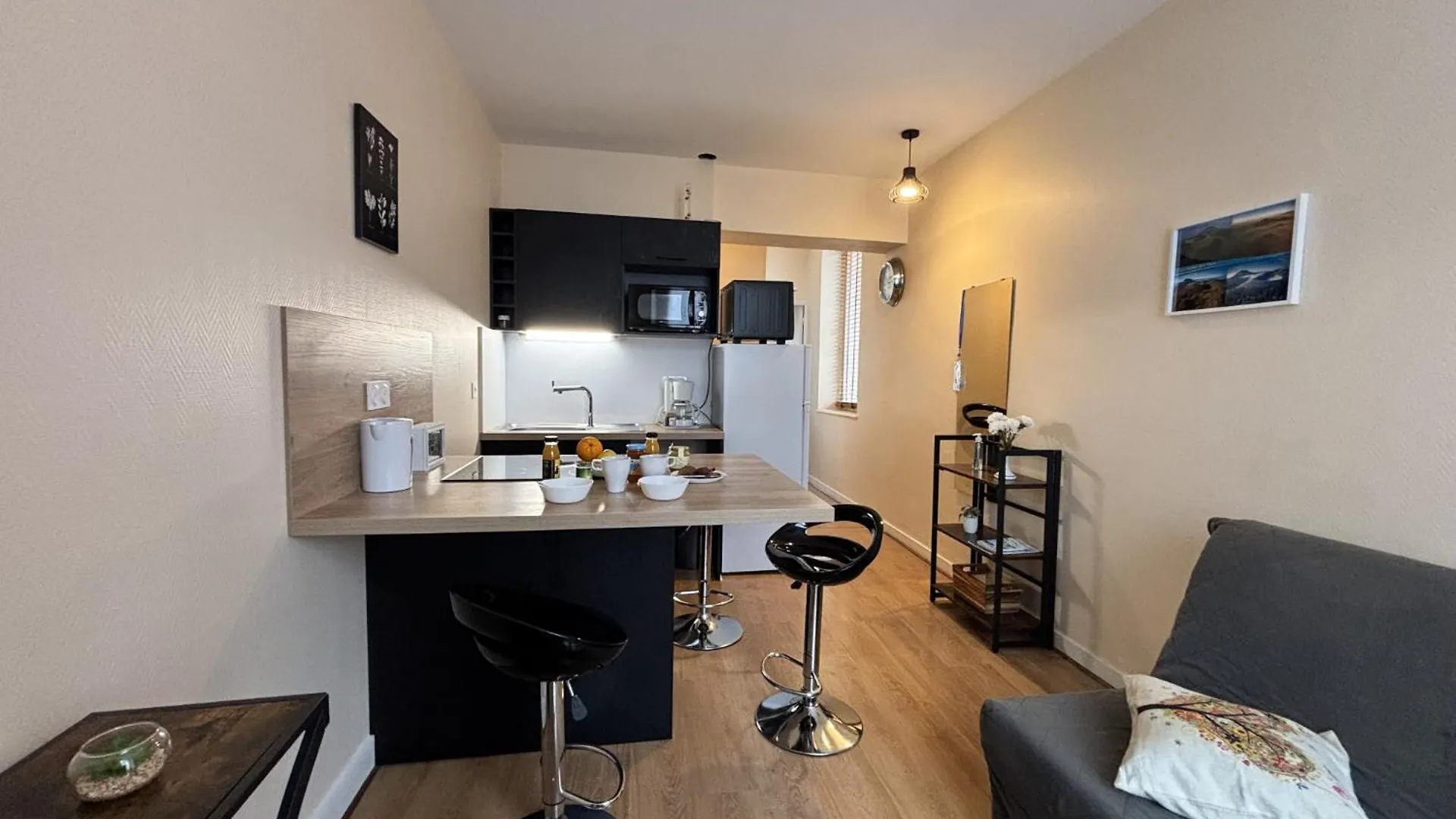 Le Puy De Dome - 1 Chambre - Clim Châtel-Guyon Frankrig